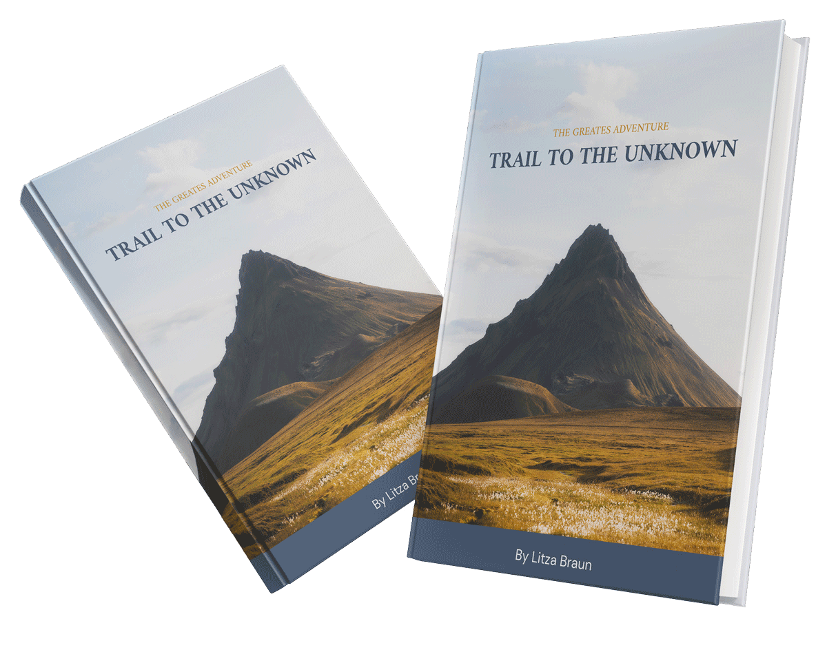 book-promo